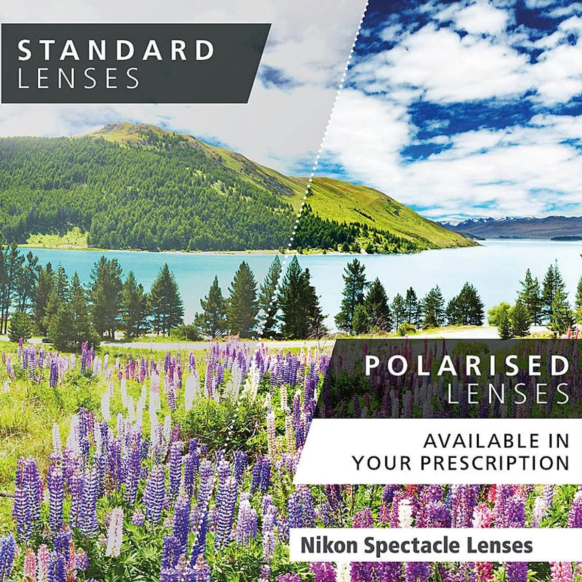 Nikon polarised prescription sunwear